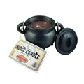 Cast Iron Cauldron & Smudge Candle - Palo Santo - 4"