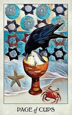 Crow Tarot deck and guidebook by MJ Cullinane